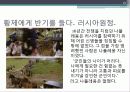 사라진 나폴레옹의 병사들 13페이지