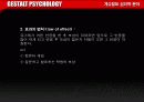 [심리학]게슈탈트 심리학 분야 9페이지