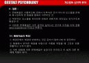 [심리학]게슈탈트 심리학 분야 13페이지