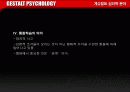 [심리학]게슈탈트 심리학 분야 14페이지