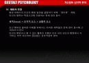 [심리학]게슈탈트 심리학 분야 23페이지