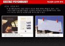 [심리학]게슈탈트 심리학 분야 34페이지