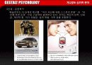 [심리학]게슈탈트 심리학 분야 36페이지
