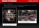 [심리학]게슈탈트 심리학 분야 37페이지