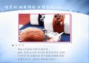 일본 음식문화.ppt 17페이지