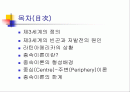 종속이론(Dependency Theory), 제3세계 2페이지