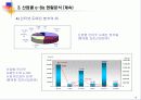 국내 산업별 e-비즈니스 비교분석 13페이지