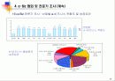 국내 산업별 e-비즈니스 비교분석 29페이지