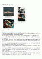 환경호르몬 학습지도안 (1차시) 4페이지