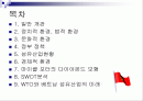 베트남의 섬유산업에 대해서  2페이지