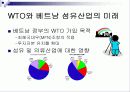 베트남의 섬유산업에 대해서  28페이지