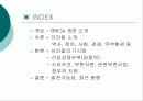 브라질의 IT산업 환경분석  2페이지
