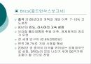 브라질의 IT산업 환경분석  4페이지
