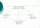브라질의 IT산업 환경분석  18페이지