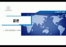 유럽글로벌화전략 34페이지