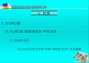 유로화 도입에 따른 자본시장의 영향 6페이지