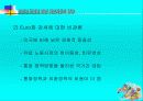 유로화 도입에 따른 자본시장의 영향 14페이지