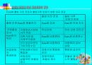 유로화 도입에 따른 자본시장의 영향 15페이지