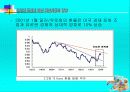 유로화 도입에 따른 자본시장의 영향 18페이지
