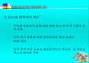 유로화 도입에 따른 자본시장의 영향 19페이지