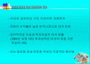 유로화 도입에 따른 자본시장의 영향 22페이지
