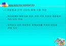 유로화 도입에 따른 자본시장의 영향 23페이지