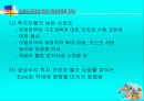 유로화 도입에 따른 자본시장의 영향 24페이지