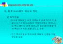 유로화 도입에 따른 자본시장의 영향 26페이지