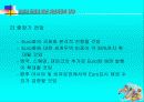 유로화 도입에 따른 자본시장의 영향 27페이지