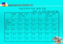 유로화 도입에 따른 자본시장의 영향 29페이지