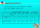 유로화 도입에 따른 자본시장의 영향 30페이지