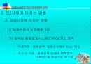 유로화 도입에 따른 자본시장의 영향 32페이지