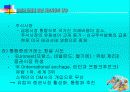 유로화 도입에 따른 자본시장의 영향 36페이지