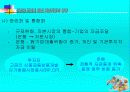 유로화 도입에 따른 자본시장의 영향 38페이지