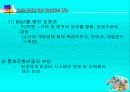유로화 도입에 따른 자본시장의 영향 39페이지