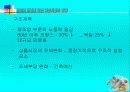 유로화 도입에 따른 자본시장의 영향 41페이지
