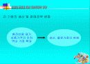 유로화 도입에 따른 자본시장의 영향 42페이지