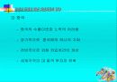 유로화 도입에 따른 자본시장의 영향 54페이지
