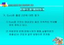 유로화 도입에 따른 자본시장의 영향 67페이지