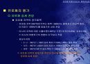 유로화 약세의 원인과 회복 가능성 9페이지