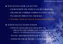 유로화 약세의 원인과 회복 가능성 11페이지