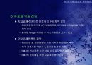 유로화 약세의 원인과 회복 가능성 12페이지