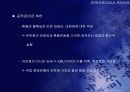 유로화 약세의 원인과 회복 가능성 13페이지