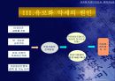 유로화 약세의 원인과 회복 가능성 14페이지