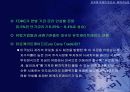 유로화 약세의 원인과 회복 가능성 18페이지