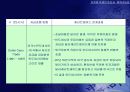 유로화 약세의 원인과 회복 가능성 21페이지