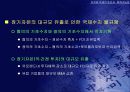 유로화 약세의 원인과 회복 가능성 22페이지