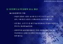 유로화 약세의 원인과 회복 가능성 24페이지