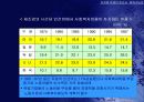 유로화 약세의 원인과 회복 가능성 27페이지