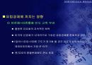 유로화 약세의 원인과 회복 가능성 37페이지